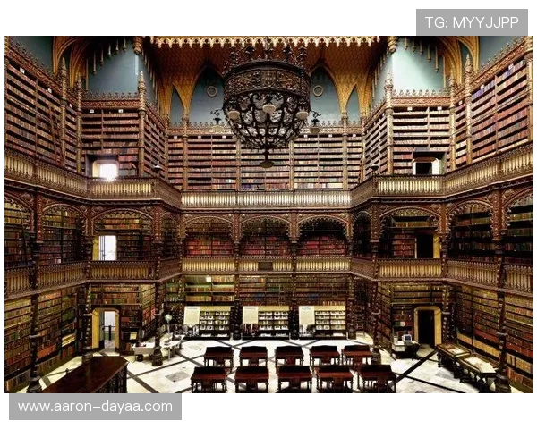 d88尊龙手机版官网下载最新版本，享受高品质娱乐体验的最佳途径