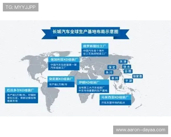 尊龙集团积极布局国际市场实现全球化战略目标