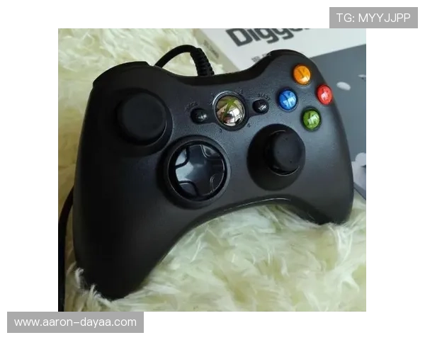 尊龙游戏中心首页详细攻略指南帮助新手快速上手畅玩游戏体验